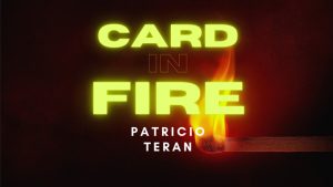 Card in Fire by Patricio Teran video DOWNLOAD - Download