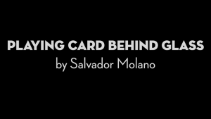 Playing Card Behind Glass by Salvador Molano video DOWNLOAD - Download