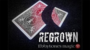 Regrown by Ebbytones video DOWNLOAD - Download