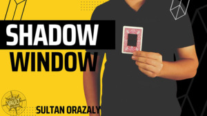 The Vault - Shadow Window by Sultan Orazaly video DOWNLOAD - Download