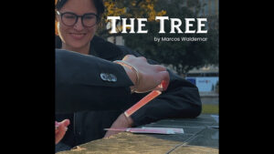 THE TREE by Marcos Waldemar & Invisible Compass video DOWNLOAD - Download