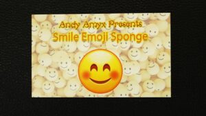 Sponge Emoji SMILE FACE (4PK.) by Andy Amyx